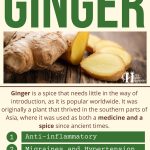 Amazing Uses And Benefits Of Ginger
