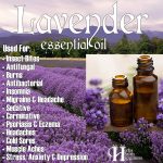 Essential Oil Of The Day: Lavender