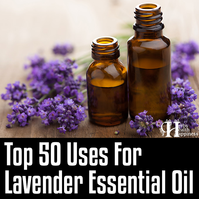 Top 50 Uses For Lavender Essential Oil