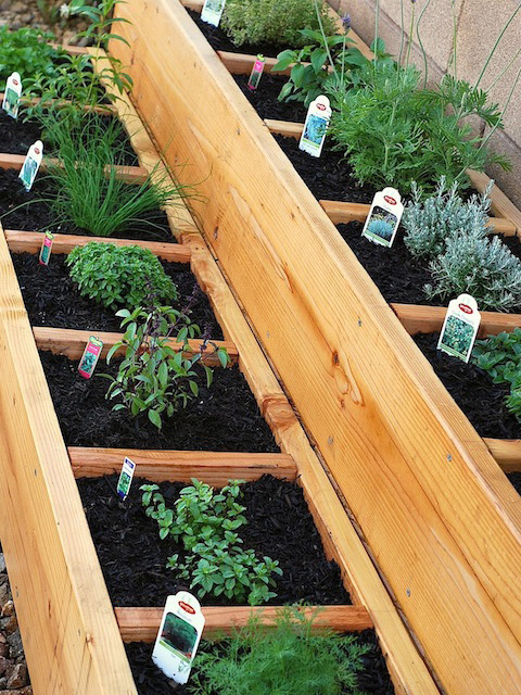 Fantastic Raised Bed Herb Garden Idea