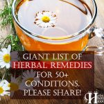 Giant List Of Herbal Remedies For 50 Conditions And Parts Of The Body