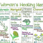 “A Woman’s Healing Herbs” Wall Chart From Liz Cook