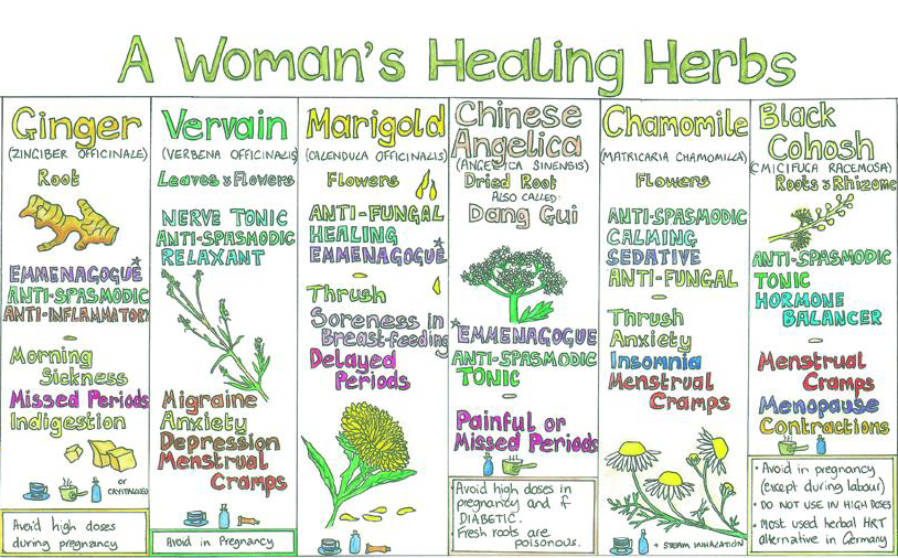 A Woman's Healing Herbs