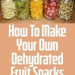 How To Make Your Own Amazing Dehydrated Fruit Snacks