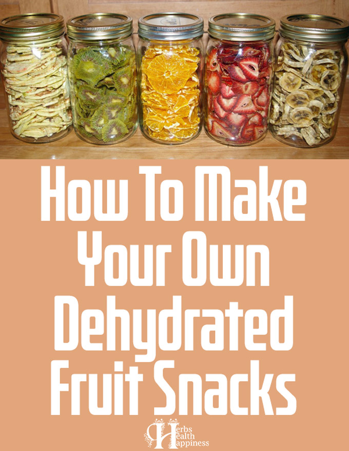 Make Your Own Amazing Dehydrated Fruit Snacks
