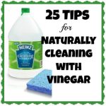 25 Tips For Cleaning Naturally With Vinegar