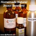 How To Make An Effective Mosquito And Other Insect Repellent At Home