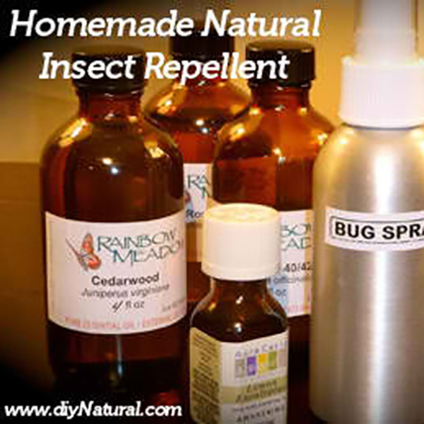 Homemade Natural Insect Repellent