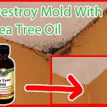 How To Remove Mold With Tea Tree Oil