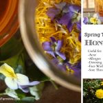 How To Make Violet And Dandelion “Spring Tonic” Honey