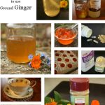 Top 14 Uses Of Ginger