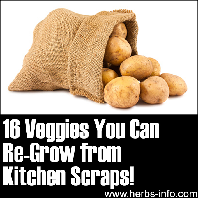 16 Veggies That You Can Re-Grow From Kitchen Scraps
