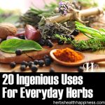 20 Ingenious Uses For Everyday Herbs
