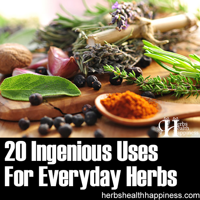 20 Ingenious Uses For Everyday Herbs