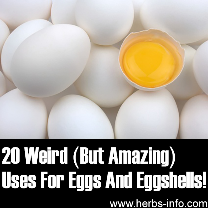 20 Weird But Amazing Uses For Eggs And Eggshells