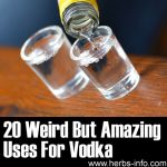 20 Weird But Amazing Uses For Vodka