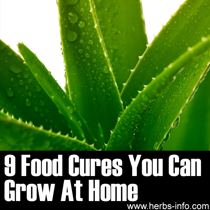 9 Food Cures You Can Grow At Home
