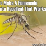 How To Make A Homemade Mosquito Repellent That Works