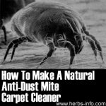 How To Make A Natural Anti-Dust Mite Carpet Cleaner
