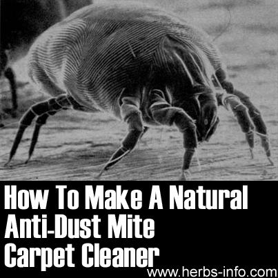 How To Make Natural Anti-Dust Mite Carpet Cleaner