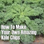 How To Make Your Own Amazing Kale Chips