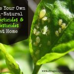 How to Make Your Own All-Natural Insecticides and Pesticides