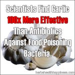 Scientists Find Garlic To Be 100x More Effective Than Antibiotics Against Food Poisoning Bacteria