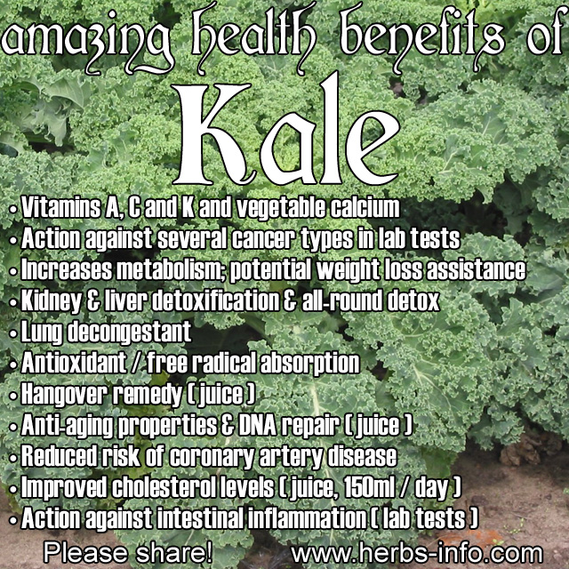 Amazing Health Benefits Of Kale