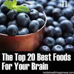 Top 20 Best Foods For Your Brain