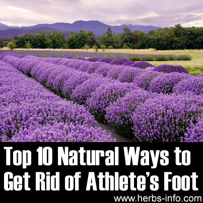 Top 10 Natural Ways to Get Rid of Athletes Foot