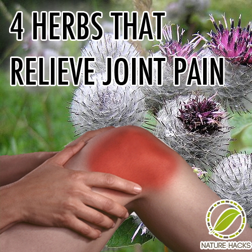 4 Herbs That Relieve Joint Pain