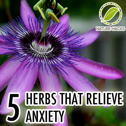 5 Herbs That Relieve Anxiety