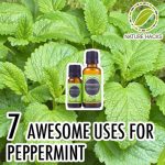 7 Awesome Uses For Peppermint