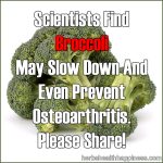Scientists Find Broccoli May Slow Down And Even Prevent Osteoarthritis