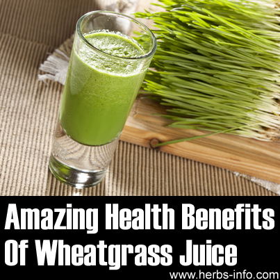 The Amazing Health Benefits Of Wheatgrass Juice