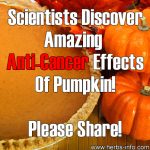 Scientists Discover Amazing Anti-Cancer Effects Of Pumpkin!