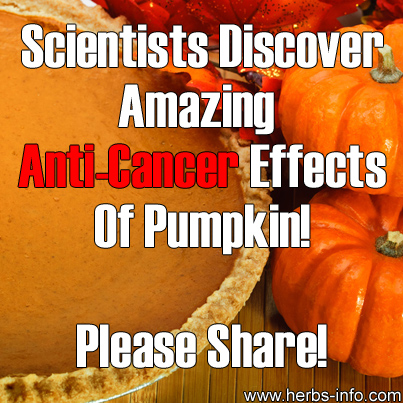 Scientists Discover Anti-Cancer Effects Of Pumpkin