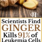 Scientists Find Substance In Ginger Kills 91% of Leukemia Cells and Shrinks Tumors in Vivo