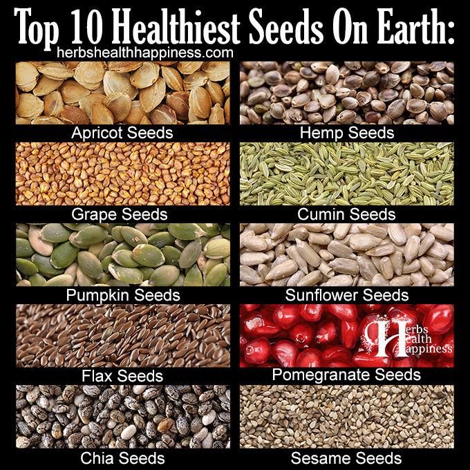 Top 10 Healthiest Seeds On Earth