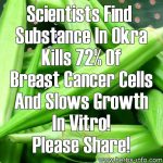 Scientists Find Substance In Okra Kills 72% Of Breast Cancer Cells In Vitro