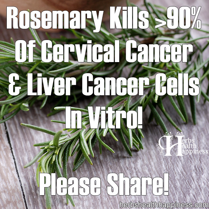 Rosemary Kills Cervical Cancer & Liver Cancer Cells In Vitro