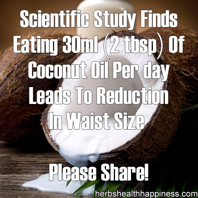 Scientific Study Finds Coconut Oil Decreases Waist Size