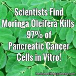 Moringa Oleifera Kills 97% Of Pancreatic Cancer Cells In Vitro