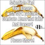 Scientists Find Ripe Banana (with dark patches) Combats Abnormal Cells And Cancer!