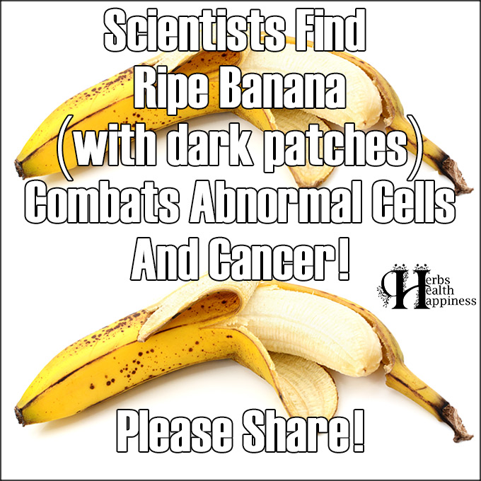 Scientists Find Ripe Banana Combats Abnormal Cells Cancer