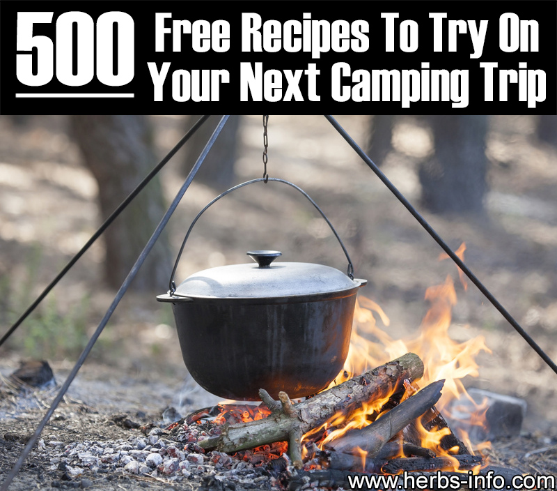 500 Free Recipes To Try On Your Next Camping Trip