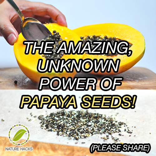 The Amazing Unknown Power Of Papaya Seeds
