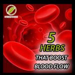 5 Herbs That Boost Blood Flow