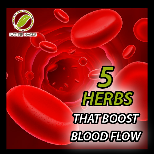 5 Herbs That Boost Blood Flow