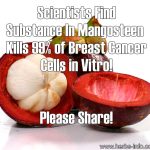 Scientists Find Substance In Mangosteen Kills 99% Of Breast Cancer Cells In Vitro